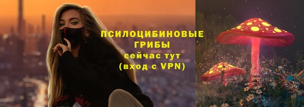 герыч Алексин
