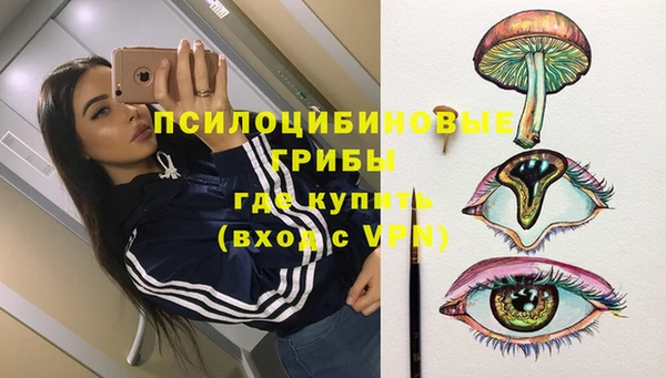 альфа пвп Гусь-Хрустальный