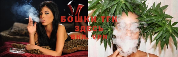 сатива Гусев