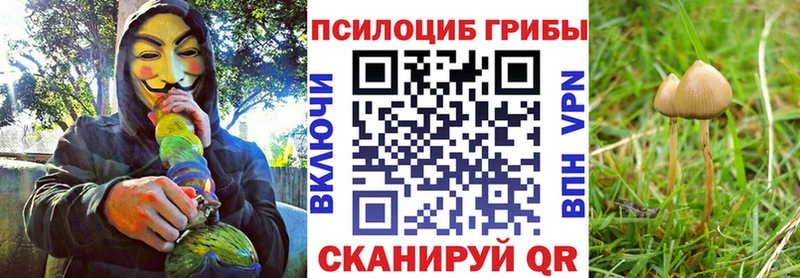 Псилоцибиновые грибы мицелий  цена наркотик  Клин 